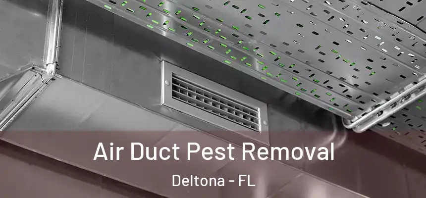  Air Duct Pest Removal Deltona - FL