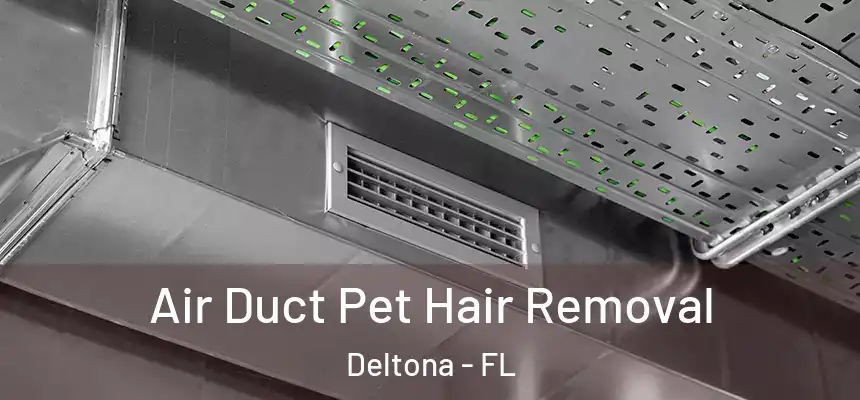 Air Duct Pet Hair Removal Deltona - FL