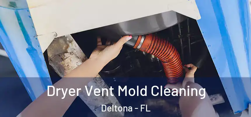 Dryer Vent Mold Cleaning Deltona - FL
