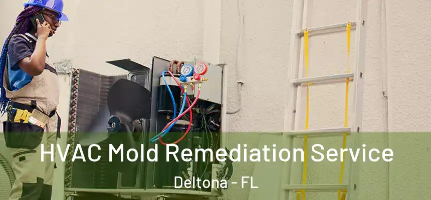 HVAC Mold Remediation Service Deltona - FL