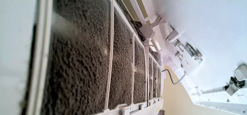 Preventive Air Duct Bacteria Removal in Deltona