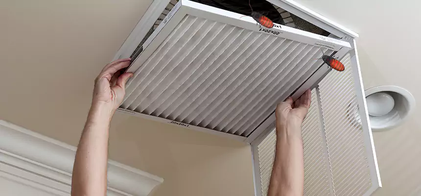 Preventive Cockroach-Proofing for Ducts in Deltona