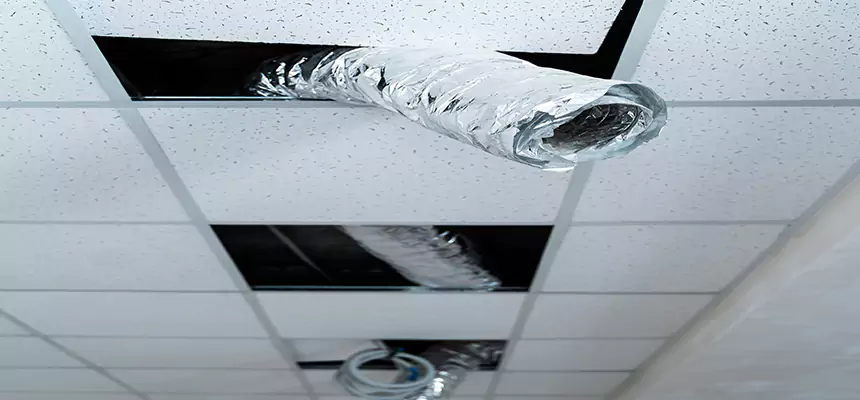 Our Air Duct Pet Hair Removal Services in Deltona, FL