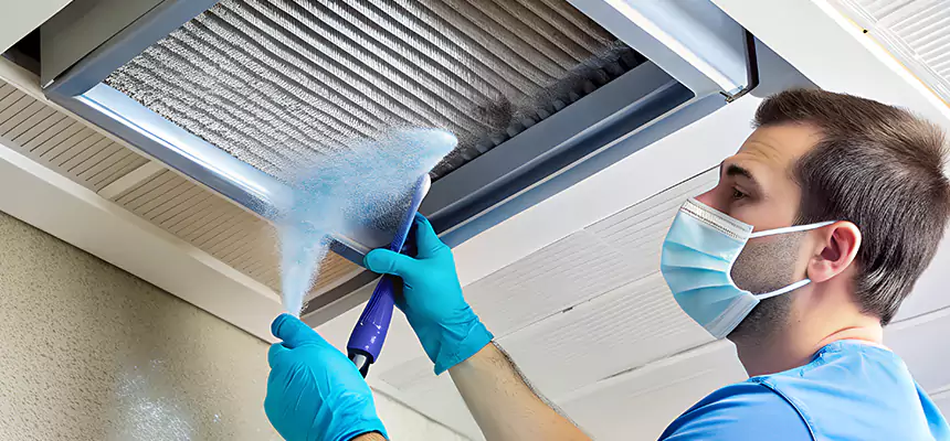 Proactive Dryer Vent & Auxiliary Duct Pollen Cleanup in Deltona, FL
