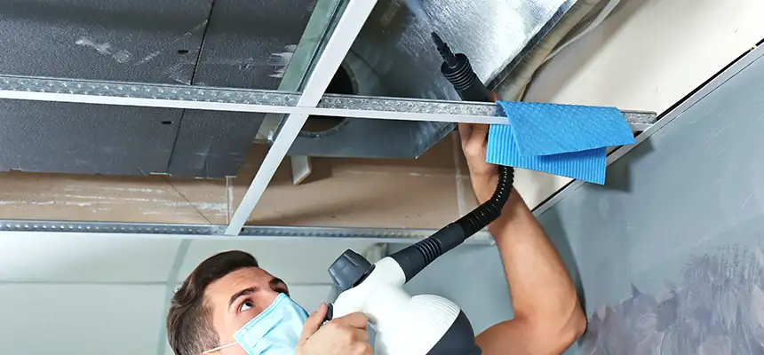 Our Air Duct Rodent Removal Services in Deltona, FL
