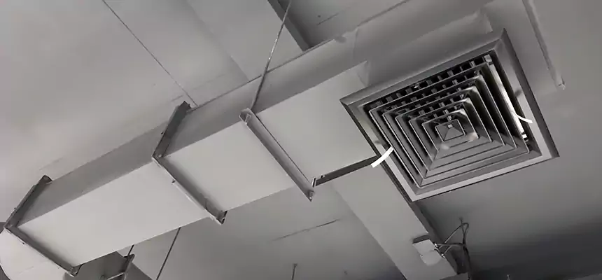 Our Pest Removal From Ducts Services in Deltona, FL