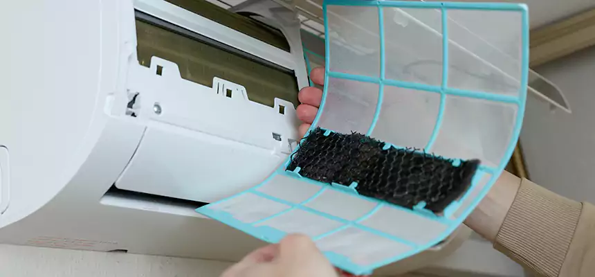 Gentle Ductwork Odor-Control Pet Dander Duct Cleaning in Deltona, FL