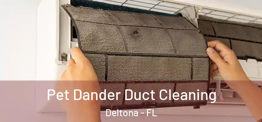 Pet Dander Duct Cleaning Deltona - FL