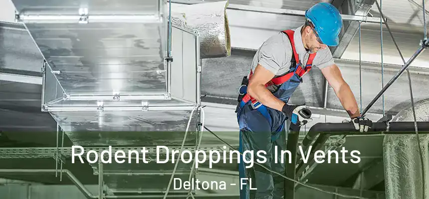 Rodent Droppings In Vents Deltona - FL