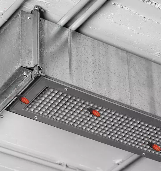 Affordable Insect Removal from Air Ducts in Deltona, FL