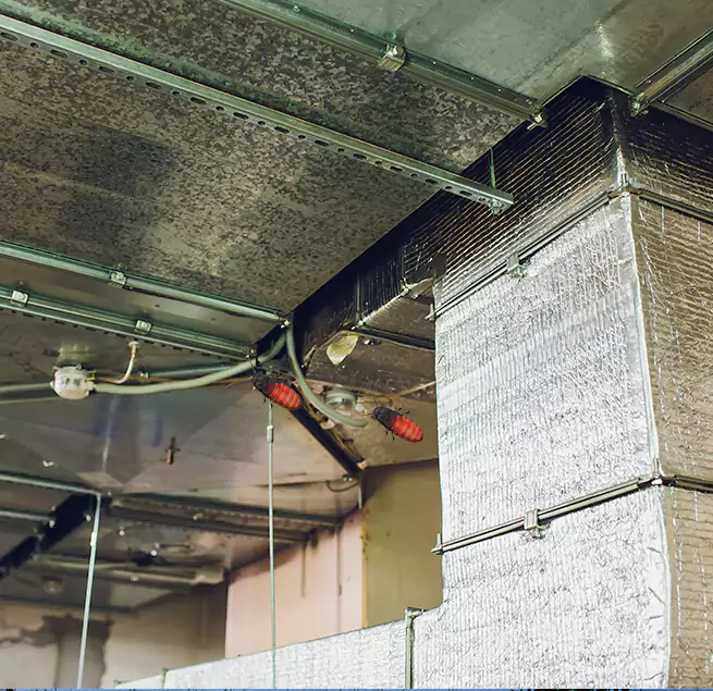 Why Homeowners & Businesses Trust Us in Deltona, FL?