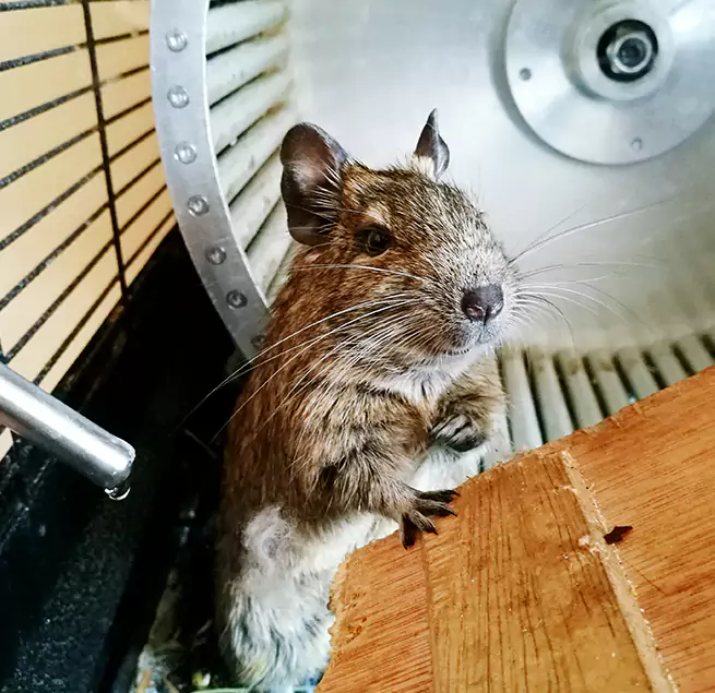 Why Homeowners & Businesses Trust Us Deltona, FL