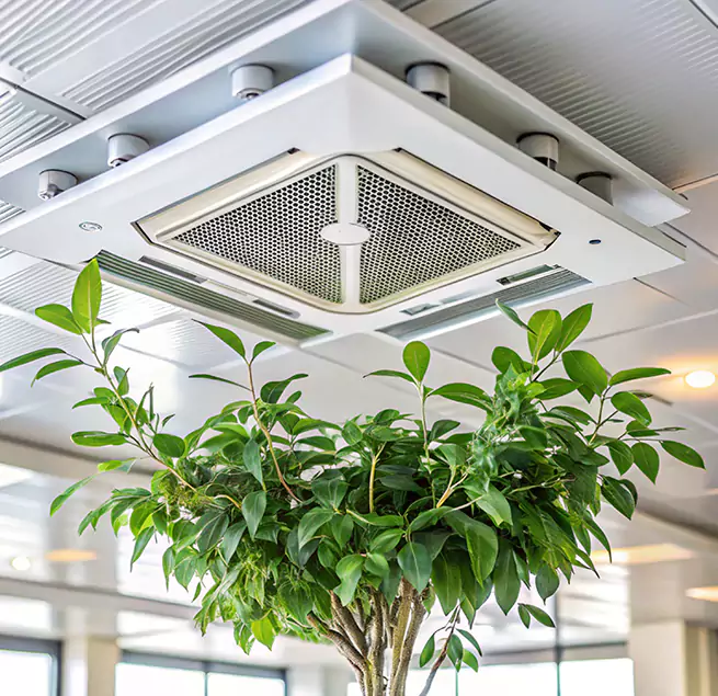 Why Homeowners & Businesses Trust Us in Deltona, FL?