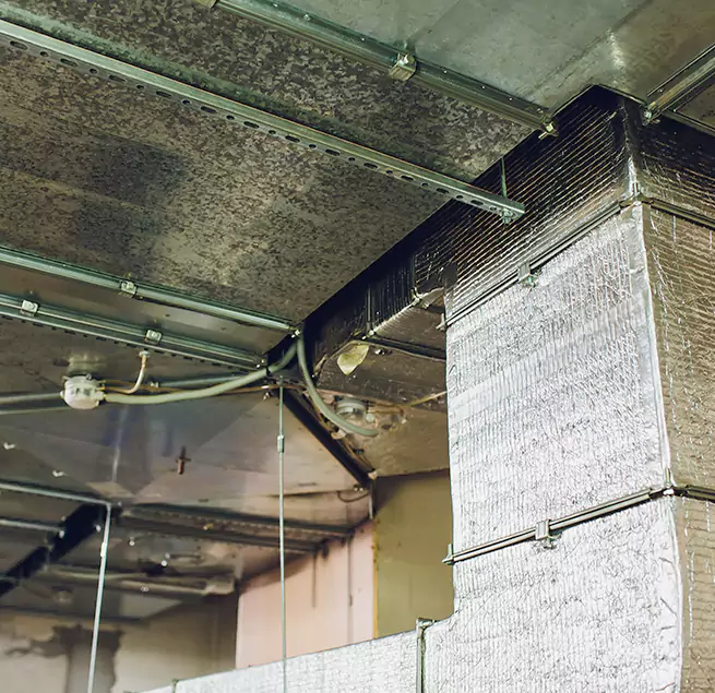 Why Homeowners & Businesses Trust Us in Deltona, FL?